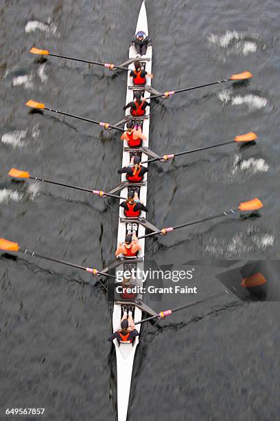 rowing eights. - sculling stockfoto's en -beelden