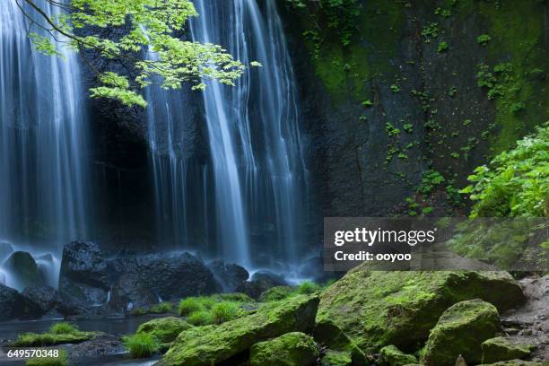 japanese waterfall landscape - nature focus on foreground stock pictures, royalty-free photos & images