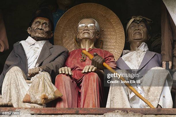 torajan cliff burial effigy figures (tau tau) - toraja stock-fotos und bilder