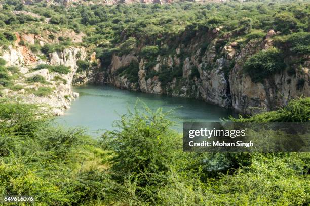 lake in asola bhatti wildlife sanctuary, asola, delhi - asola bhatti wildlife sanctuary stock pictures, royalty-free photos & images