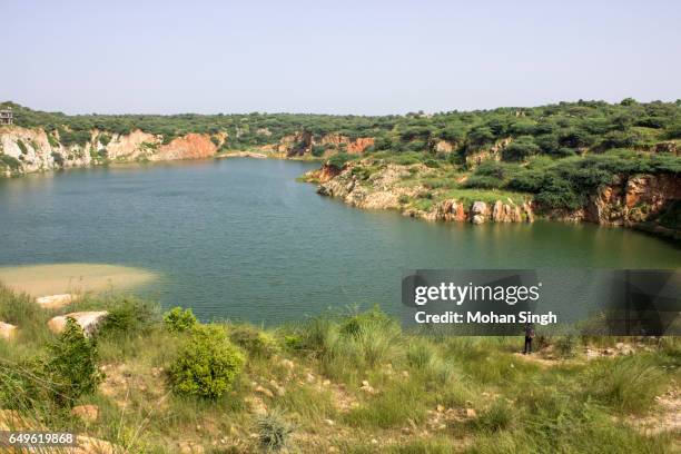 bhardwaj lake, asola wild life sanctuary, asola - haryana stock pictures, royalty-free photos & images