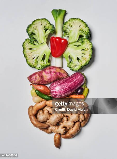 food resembling the human digestive system. - sistema digestivo imagens e fotografias de stock