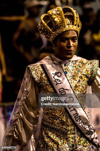 brazilian carnival. parade of the samba school água na boca on avenida princesa isabel, in ilhabela, brazil, on february 28, 2017. - água stock pictures, royalty-free photos & images