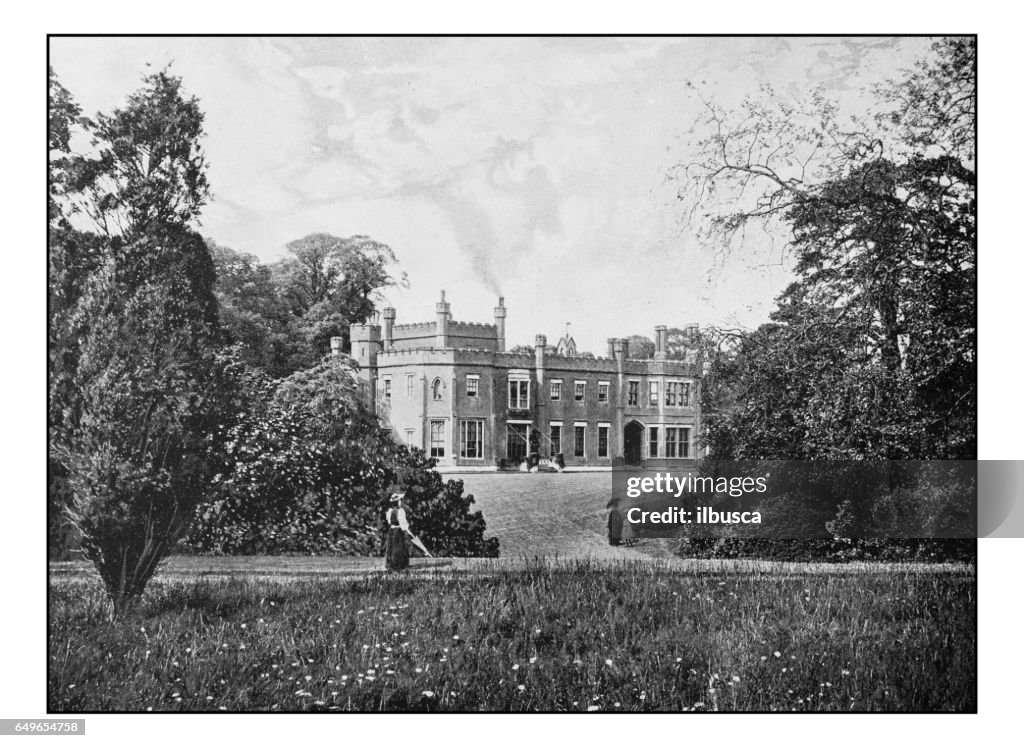 Antique London's photographs: Nonsuch Park, near Cheam