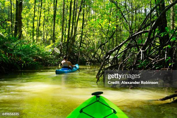 Hispanic woman rowing kayak on river