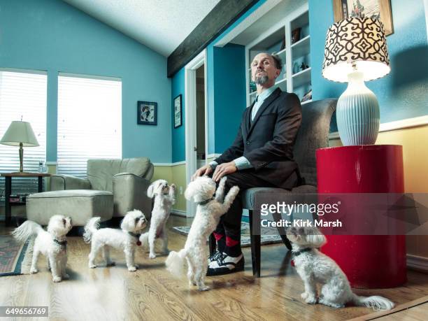 caucasian businessman ignoring begging dogs - low angle view room stock pictures, royalty-free photos & images