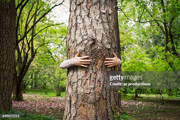 caucasian woman hugging tree in park - environmental responsibility stock pictures, royalty-free photos & images