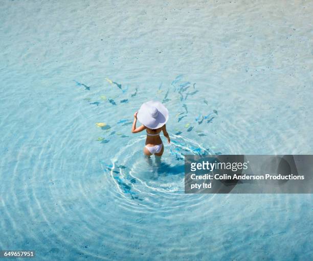 pacific islander woman walking with fish in ocean - bali luxury bildbanksfoton och bilder