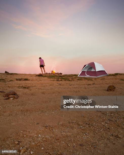 woman camping in remote desert field - desert camping stockfoto's en -beelden