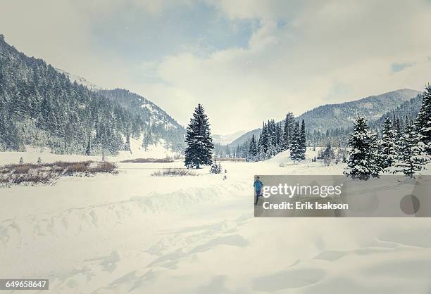 caucasian woman running in snowy landscape - salt lake city   utah foto e immagini stock