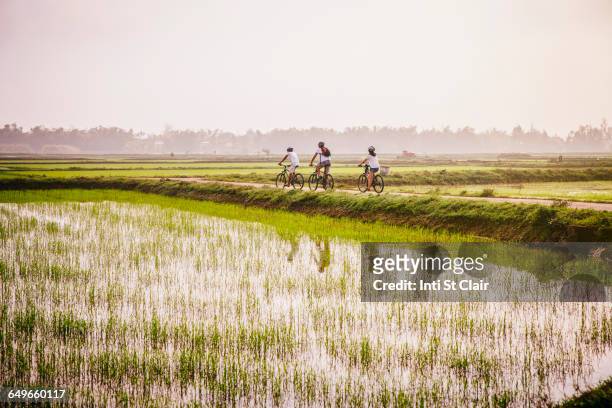 tourists riding bicycles in rural landscape - vietnam photos et images de collection