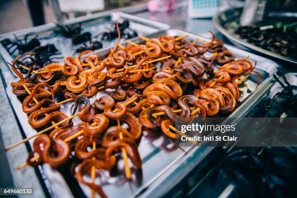 skewered snakes cooking on grille - serpent cuisine photos et images de collection