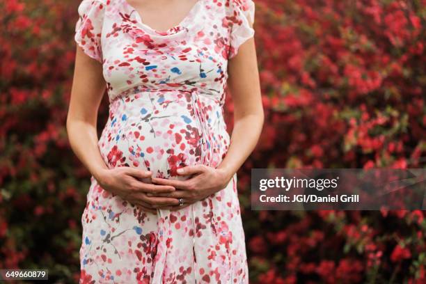 3,643 Pregnant Belly Front View Stock Photos, High-Res Pictures, and