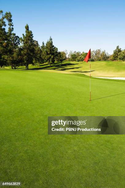 flag in hole on golf course - golfbaan green stockfoto's en -beelden