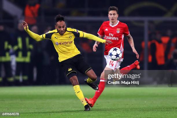 Pierre-Emerick Aubameyang of Borussia Dortmund battles for the ball with Victor Lindelöf of SL Benfica during the UEFA Champions League Round of 16...