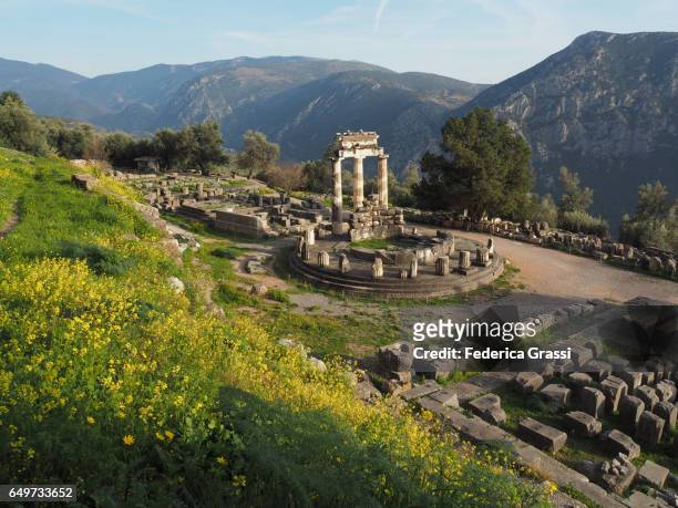 ancient temple of athena pronea, delphi, greece - delfi foto e immagini stock
