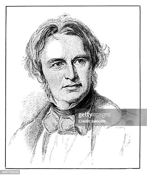 nathaniel hawthorne - nathaniel hawthorne stock illustrations