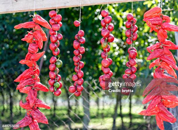 bunches of italian red pepperoncini or red chili pepper hanging at the spice stall - pepperoncini stock pictures, royalty-free photos & images