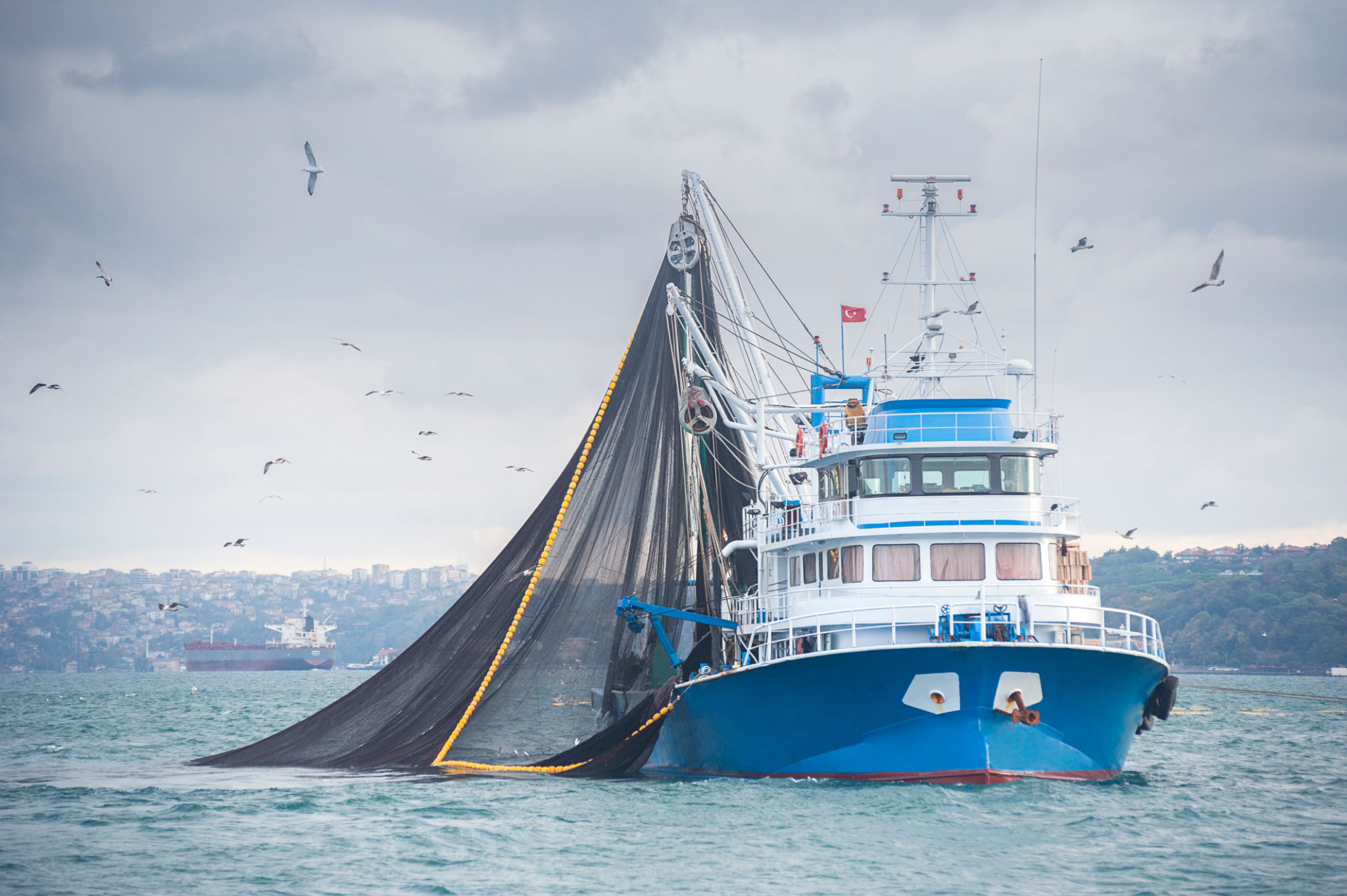 fishing boat sea