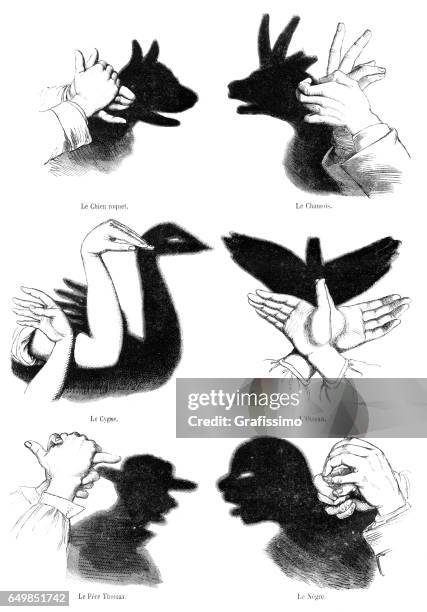 human hands playing shadow play illustration 1861 - shadow puppet stock illustrations