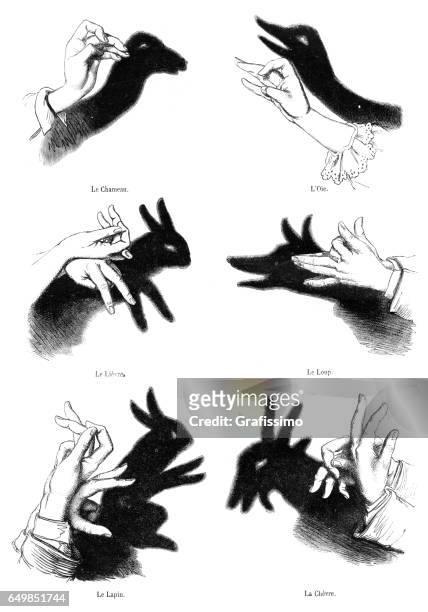 ilustraciones, imágenes clip art, dibujos animados e iconos de stock de humanos las manos juego de sombras chinescas de ilustración 1861 - puppet
