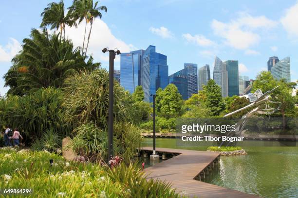 singapore, gardens by the bay, dragonfly lake, skyline, - singapore gardens stock-fotos und bilder