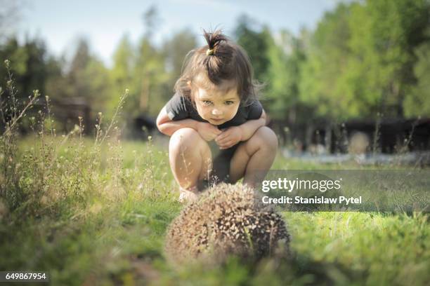 small girl looking at hedgehog on grass - newnaivetytrend ストックフォトと画像