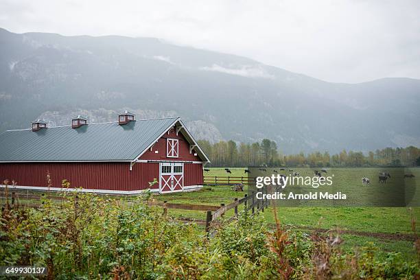 farm - barn stock pictures, royalty-free photos & images
