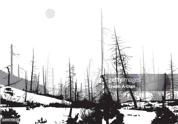 forest fire winter - burnt stock illustrations