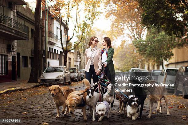 gay couple walking dogs on cobblestone street - dog walking fotografías e imágenes de stock