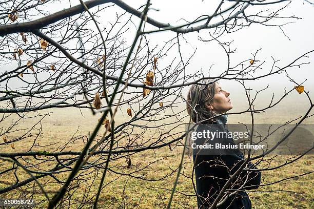 middle age woman walking in winter forest - 悲痛 ストックフォトと画像