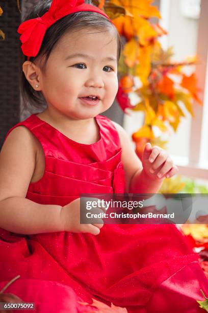 gelukkig aziatische peuter herfst portret - eenjarig plantenkenmerk stockfoto's en -beelden