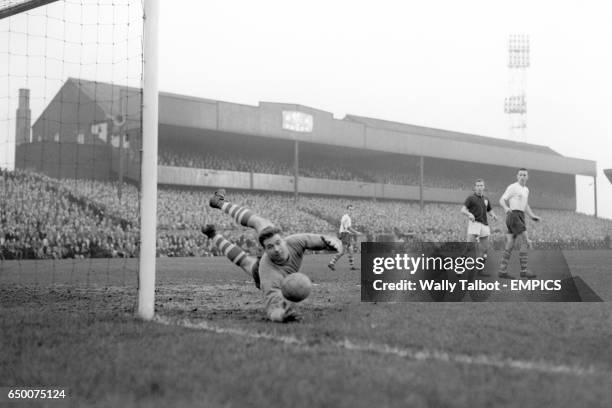 Fred Else 320 Fred Preston Stock Photos, High-Res Pictures, and Images - Getty Images