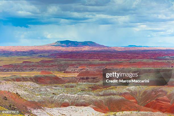 the painted desert - the petrified forest national park stock pictures, royalty-free photos & images