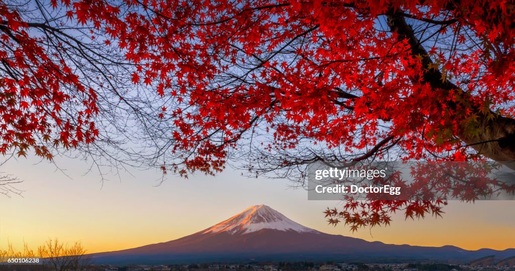 Fuji-san and Maple tree in Momiji Autumn, Japan