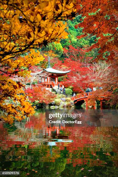 bentendo hall at daigoji temple in autumn - daigoji stock pictures, royalty-free photos & images