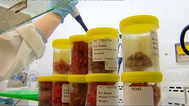 Meat Testing 196 Meat Producers Stock Videos, Footage, & 4K Video Clips - Getty Images