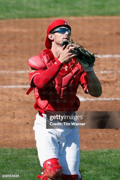 Rob Brantly of the Cincinnati Reds catches a fly ball in foul territory against the Los Angeles Angels during the spring training game at Goodyear...