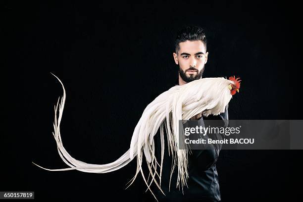 young farmer holding his cock onagadori hakuro in his hand - vertebras photos et images de collection