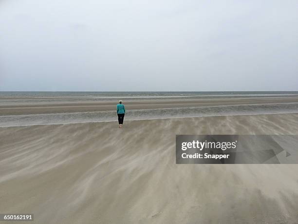 senior woman standing on beach in sandstorm, fanoe, denmark - sand storm stock pictures, royalty-free photos & images