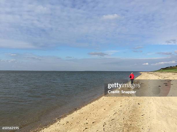 rear view of senior woman walking along beach, esbjerg, denmark - wadden sea stock pictures, royalty-free photos & images