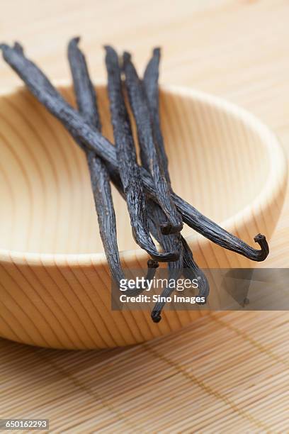 vanilla planifolia - mirepoix comida fotografías e imágenes de stock
