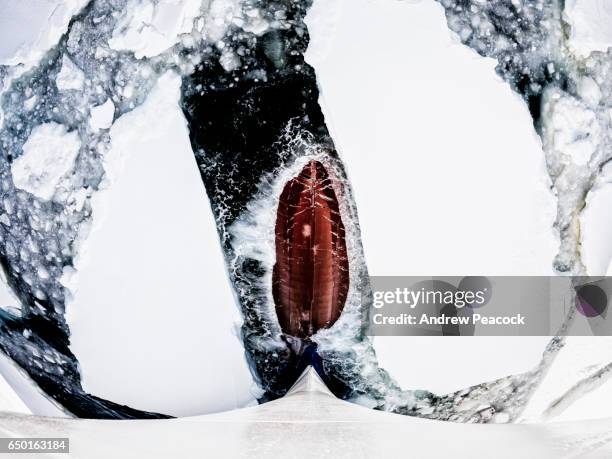 the bow of a ship breaks through ice - ice breaker stock-fotos und bilder