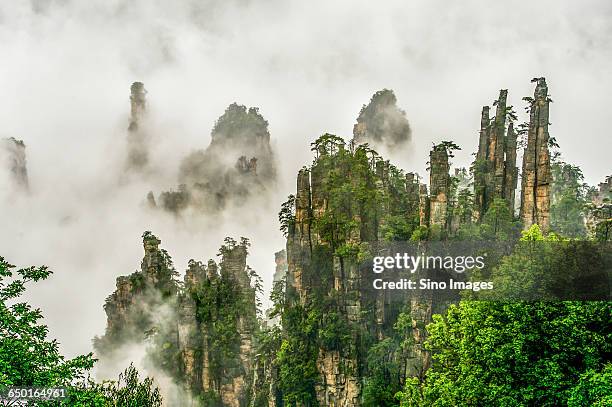 zhangjiajie landscape - national forest stock pictures, royalty-free photos & images