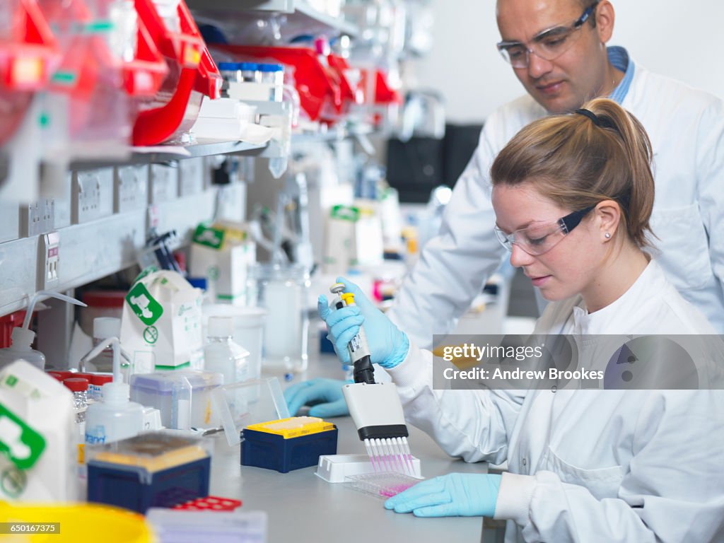 Scientist using multi-channel pipette to fill multiwell plate for analysis of antibodies by ELISA assay, Jenner Institute, Oxford University