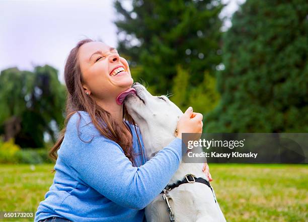 young woman sitting with dog in park, dog licking womans face - dog licking face stockfoto's en -beelden