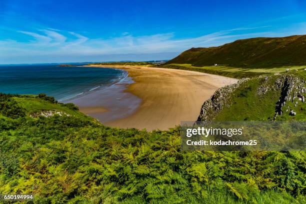 gower - bay of water stock pictures, royalty-free photos & images