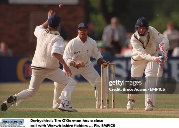 315 Tim Gorman Stock Photos, High-Res Pictures, and Images - Getty Images