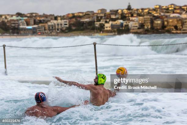 The Olympic Aussie Sharks take on an International All-Stars team at Water Polo by the Sea at Bondi Icebergs on March 9, 2017 in Sydney, Australia.