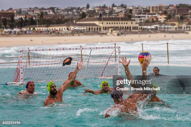 The Olympic Aussie Sharks take on an International All-Stars team at Water Polo by the Sea at Bondi Icebergs on March 9, 2017 in Sydney, Australia.